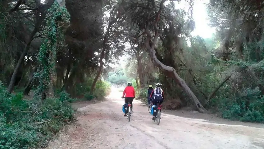 Cycling route through the Albufera of Valencia